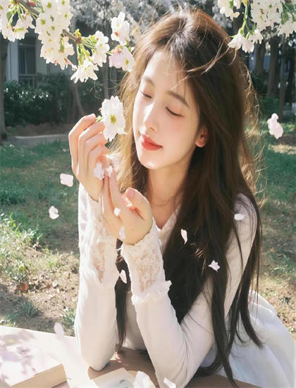 山河令在线观看_新川日常电视剧免费观看_2026好莱坞大片